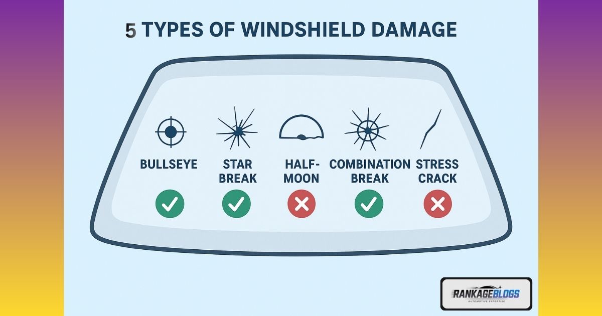 Infographic comparing different types of windshield damage like chips, cracks, and stress fractures.